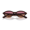 Nolan / Mocha & Before Sunset Lens